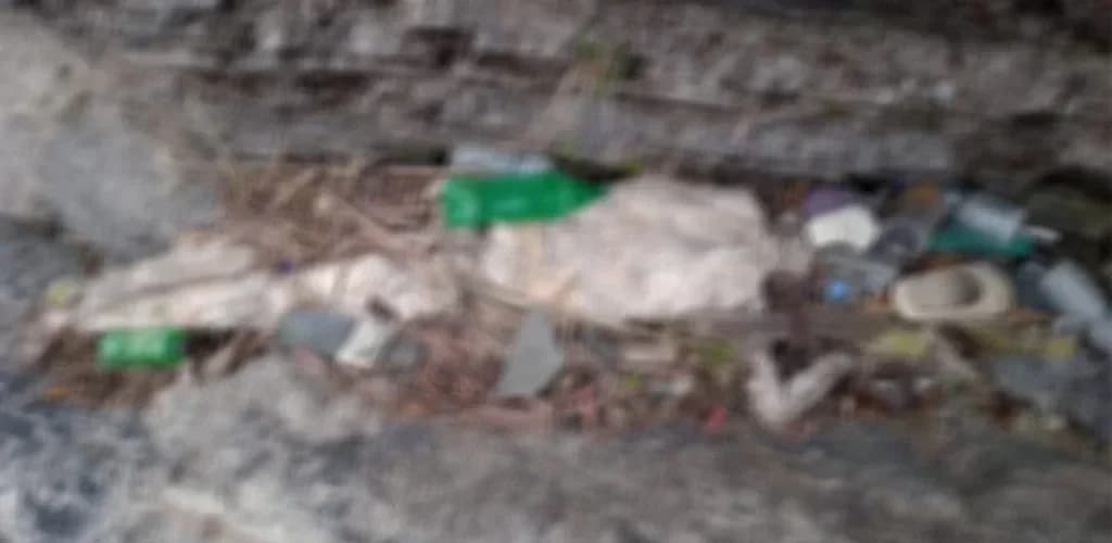 कालीगण्डकी नदी किनारमा मानव कंकाल फेला