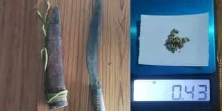 इटहरीमा लागुऔषधसहित युवक पक्राउ
