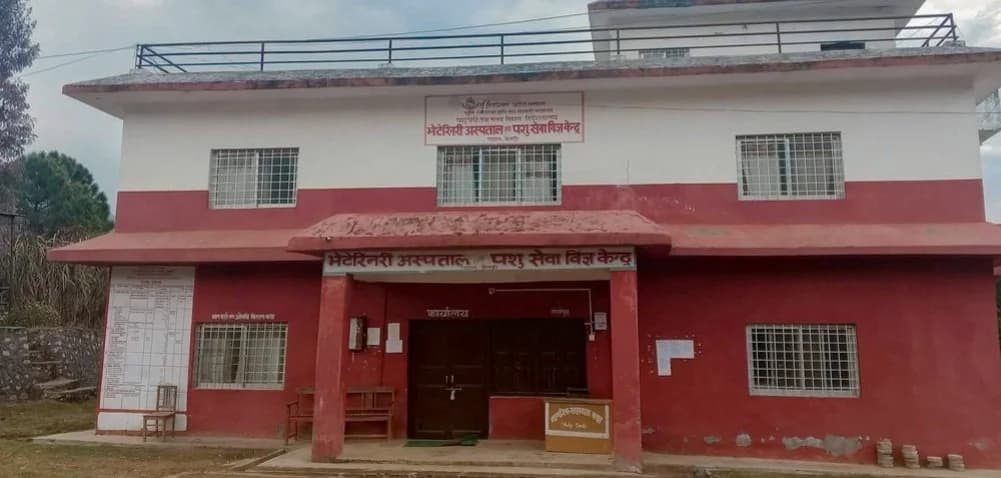१७ महिनादेखि चिकित्सकविहीन भेटेरिनरी केन्द्र, उपचार अभावमा किसान मारमा