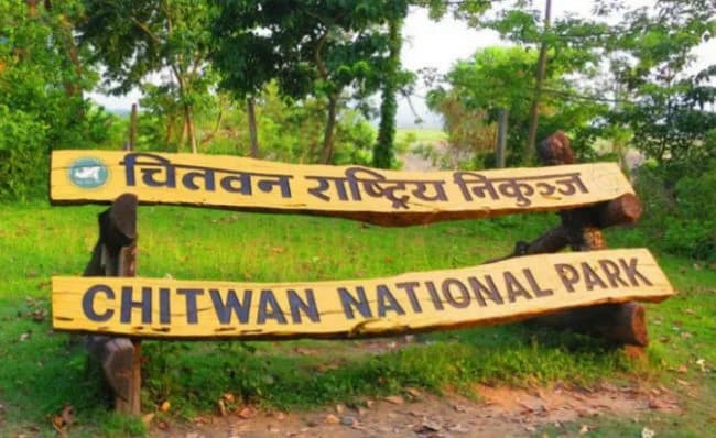 चितवन राष्ट्रिय निकुञ्जमा सेनाको गोली लागेर पोथी गैँडाको मृत्यु