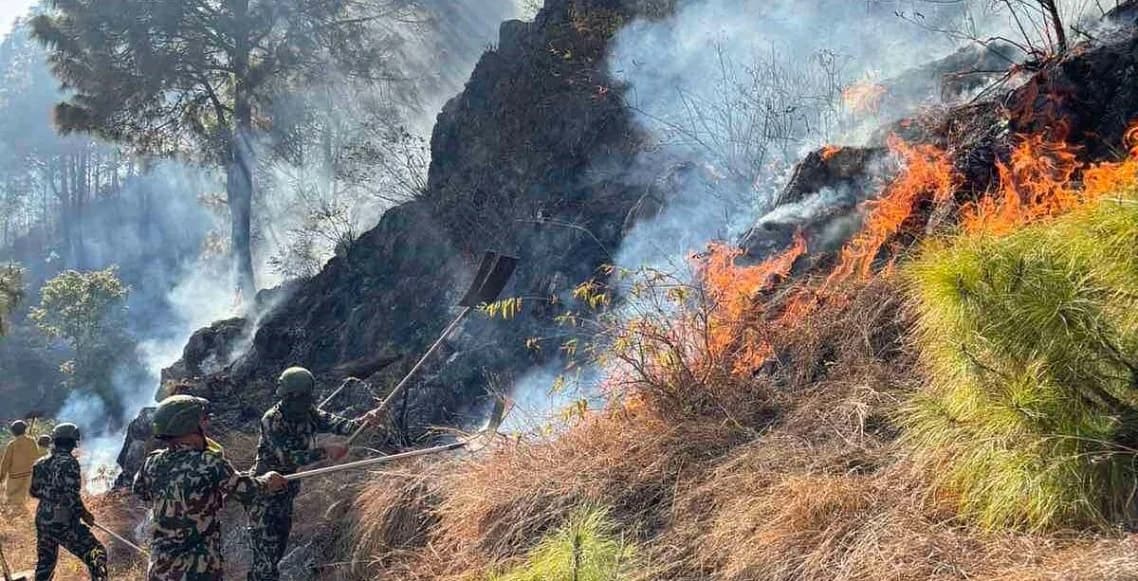 प्रि–मनसुन वर्षाले घट्यो वन डढेलो, दीर्घकालीन जोखिम भने कायमै